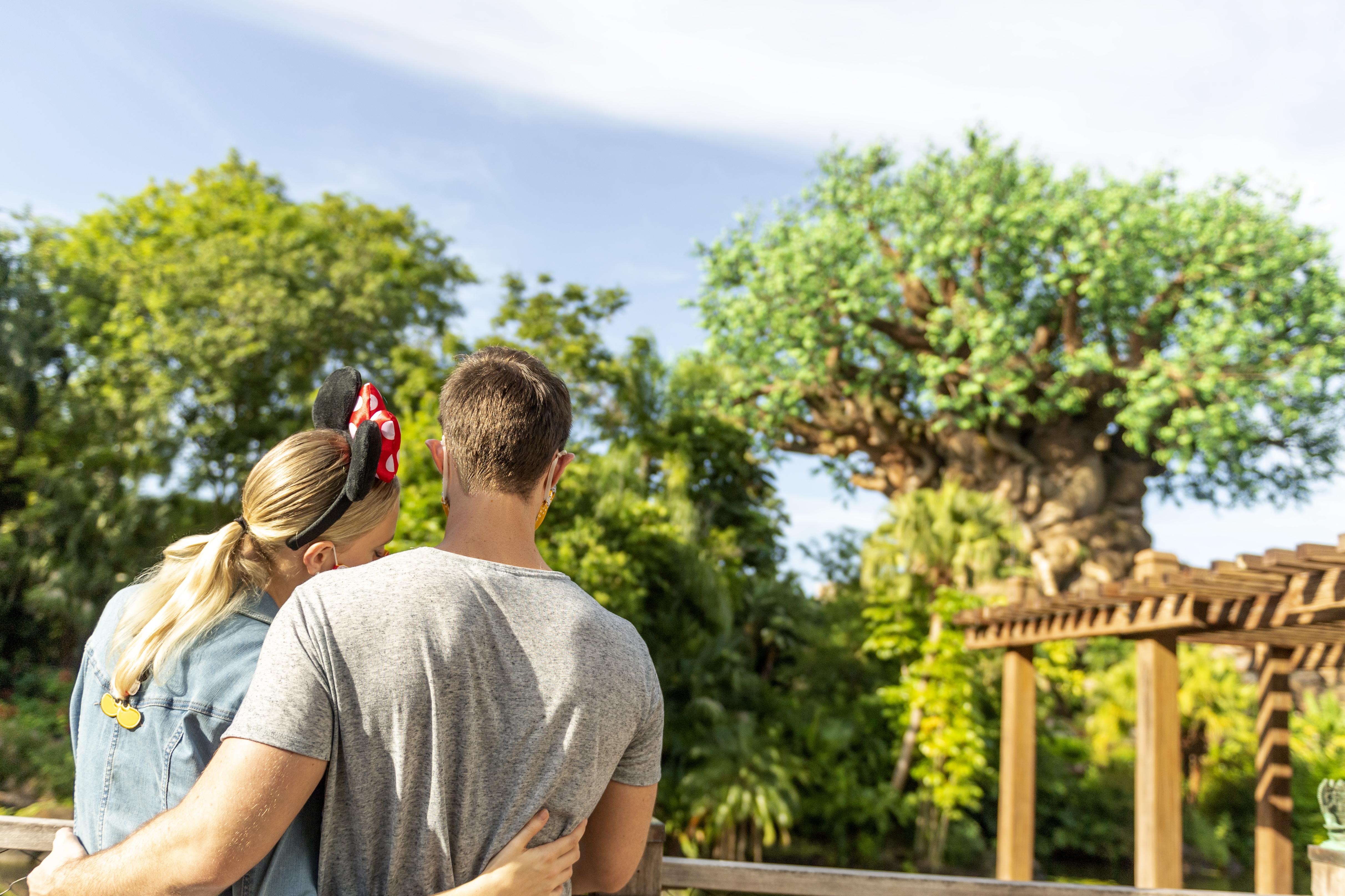 Disney'S Animal Kingdom Lodge Four Corners Εξωτερικό φωτογραφία