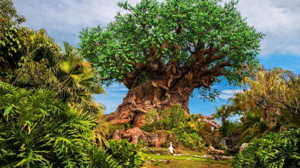 Disney'S Animal Kingdom Lodge Four Corners Εξωτερικό φωτογραφία
