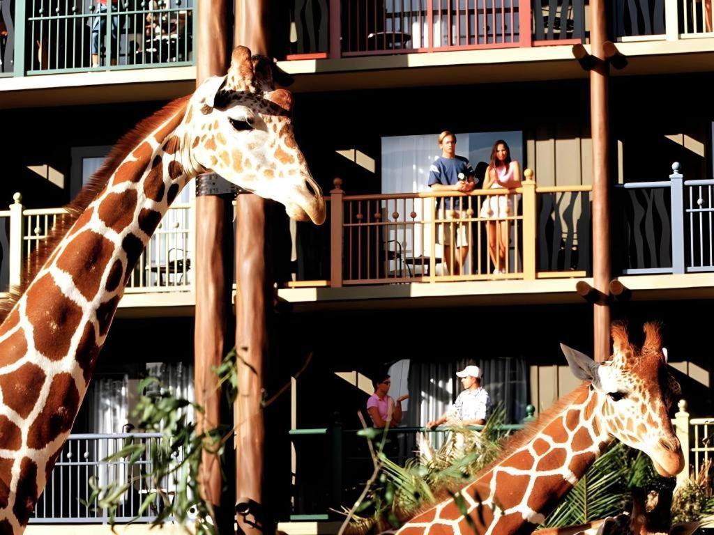 Disney'S Animal Kingdom Lodge Four Corners Εξωτερικό φωτογραφία