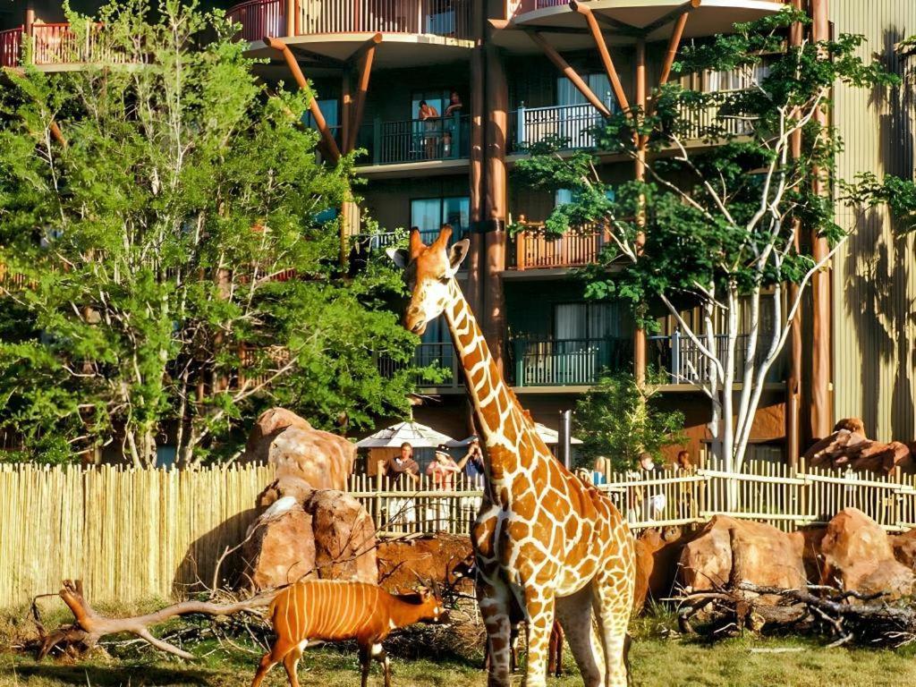 Disney'S Animal Kingdom Lodge Four Corners Εξωτερικό φωτογραφία
