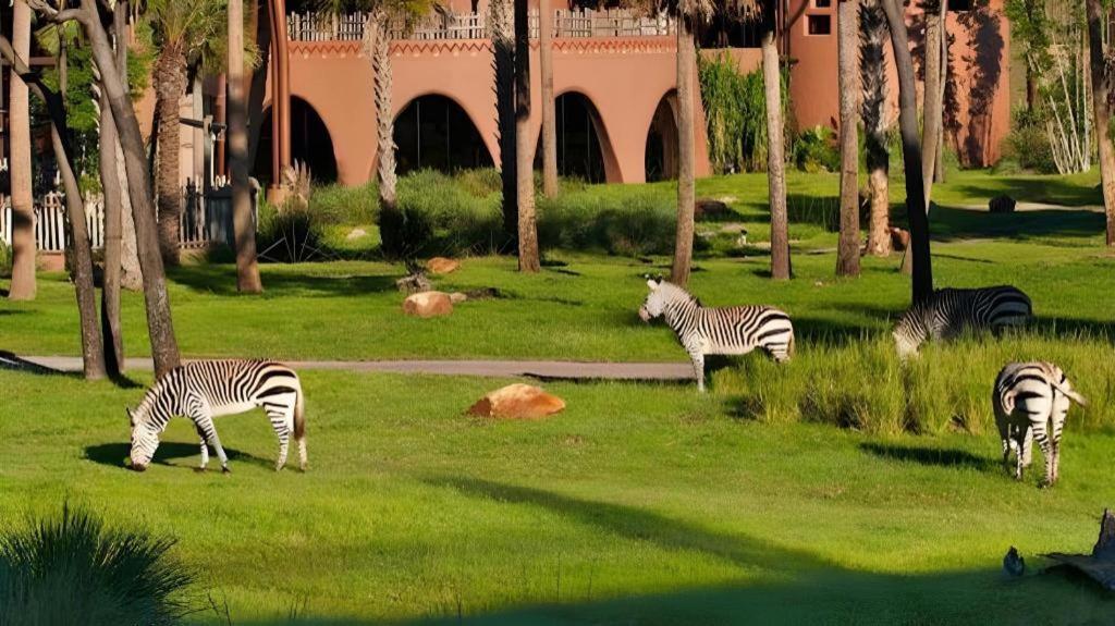 Disney'S Animal Kingdom Lodge Four Corners Εξωτερικό φωτογραφία